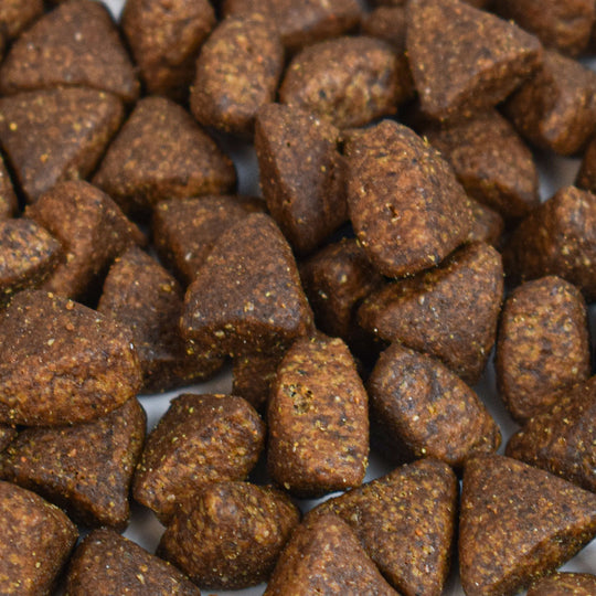 Croquettes chien sans céréales à l'agneau - Made in France - Atavik