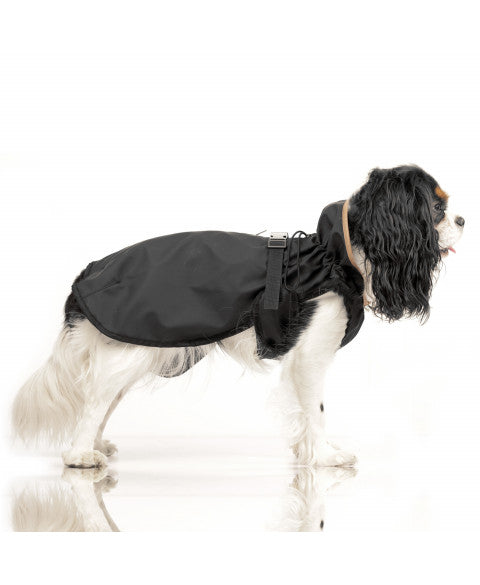 Cape pour outlet chien