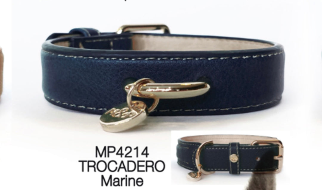 Collier TROCADÉRO 🍂 pour chien 🐶MILK&PEPPER