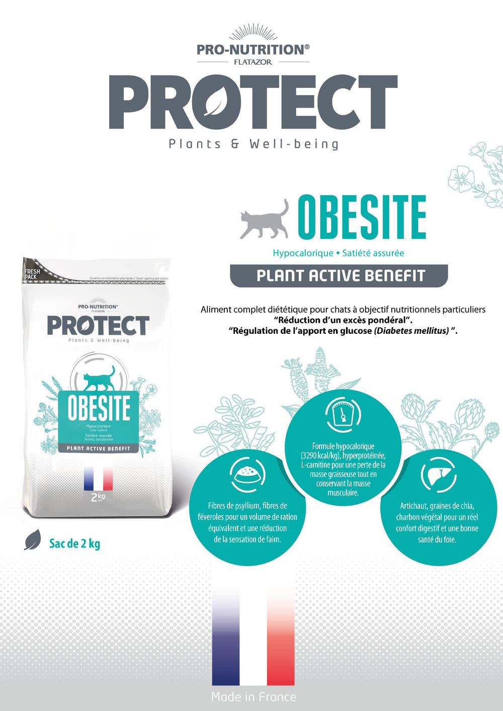 Protect Obésité Chat
