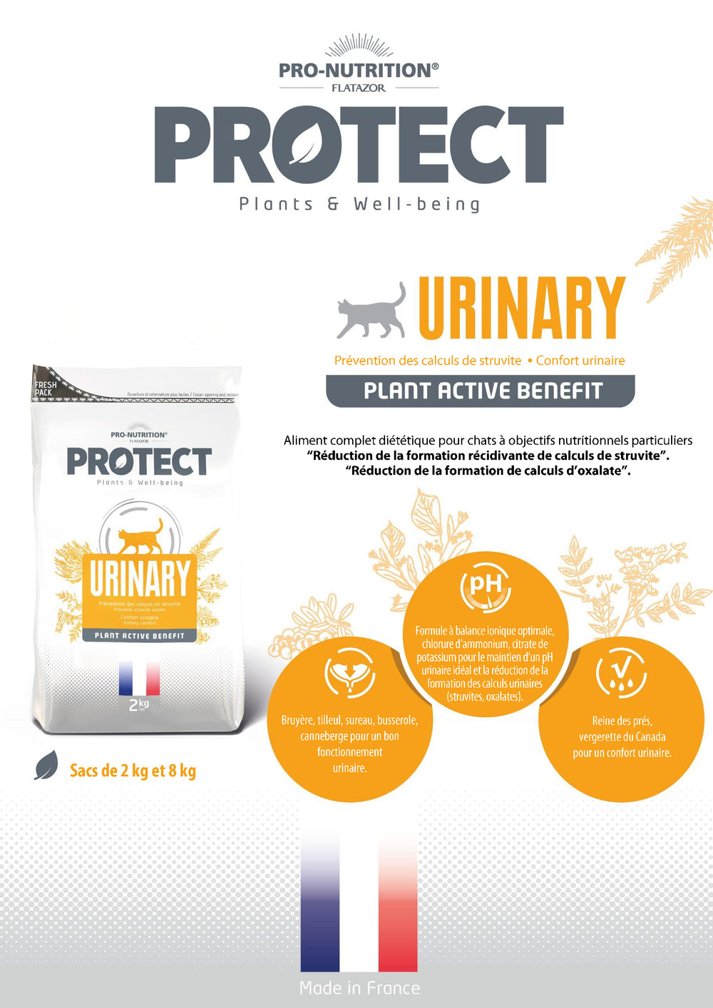 Protect Urinary Chat