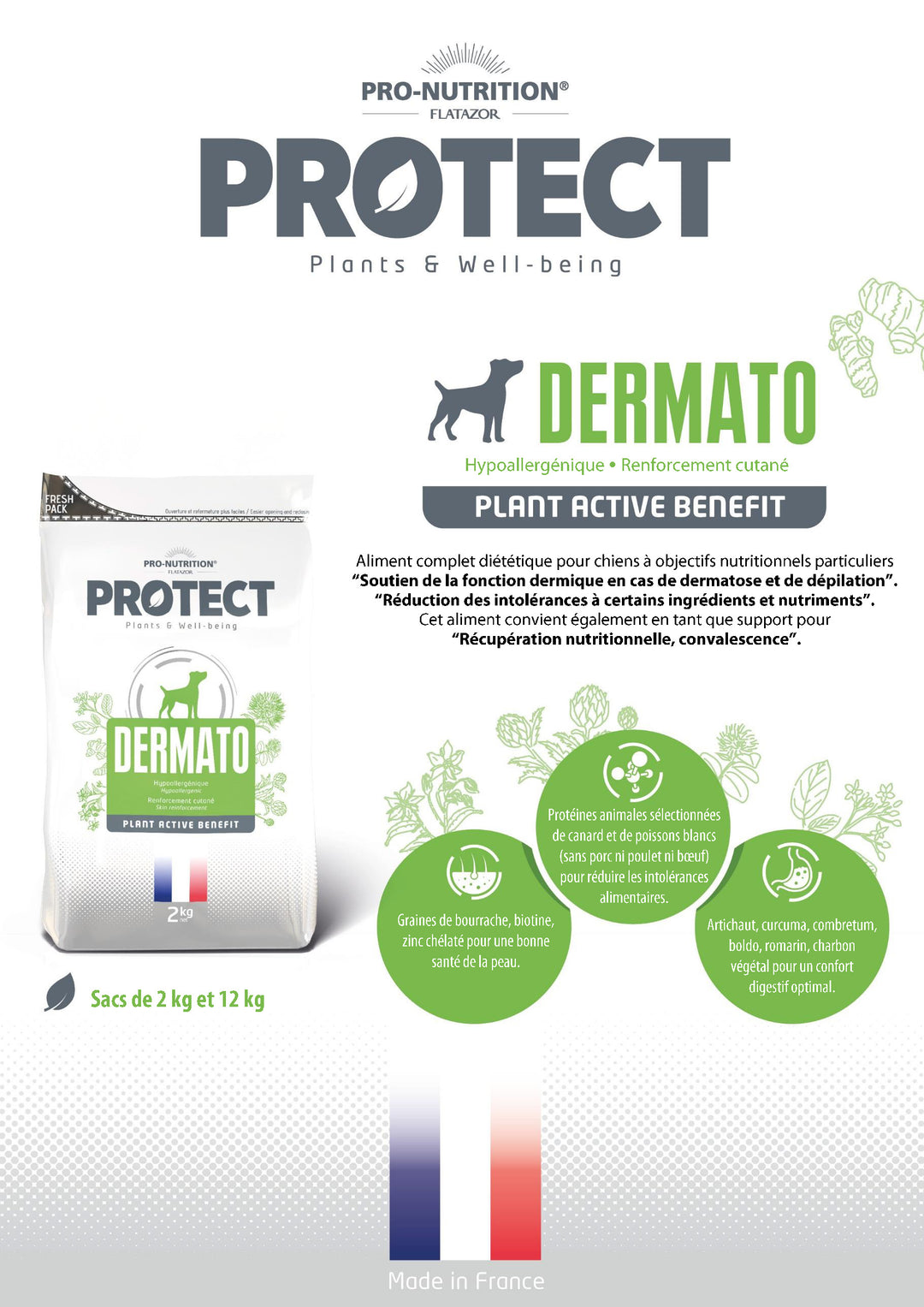Protect Dermato Chien