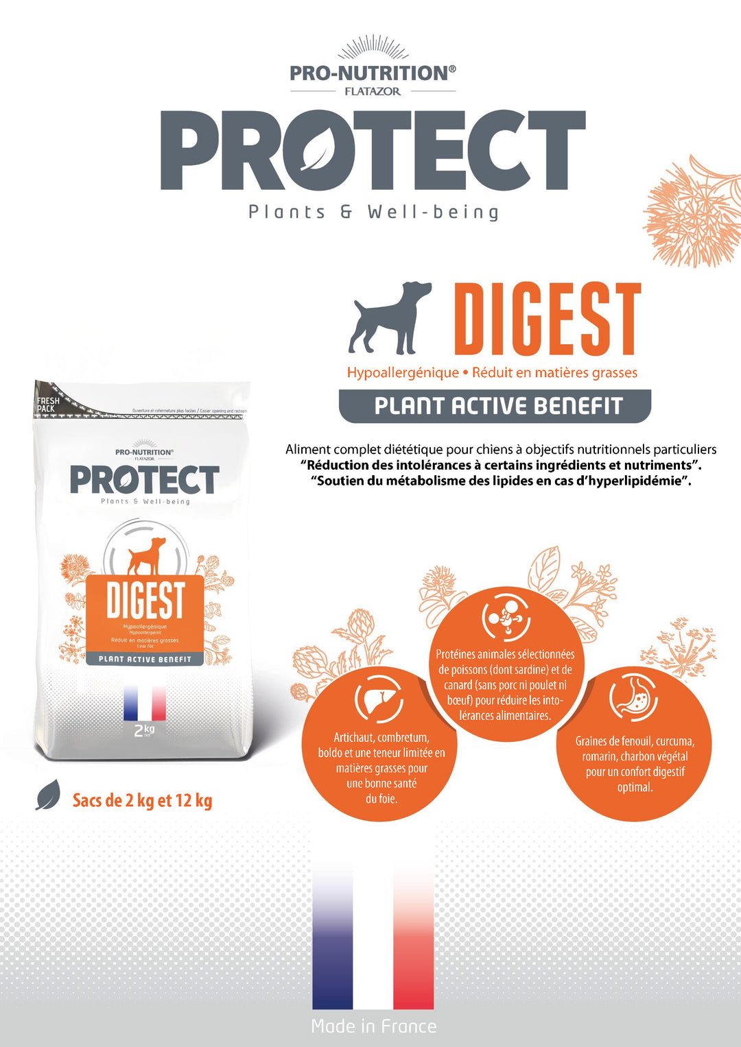Protect Digest Chien