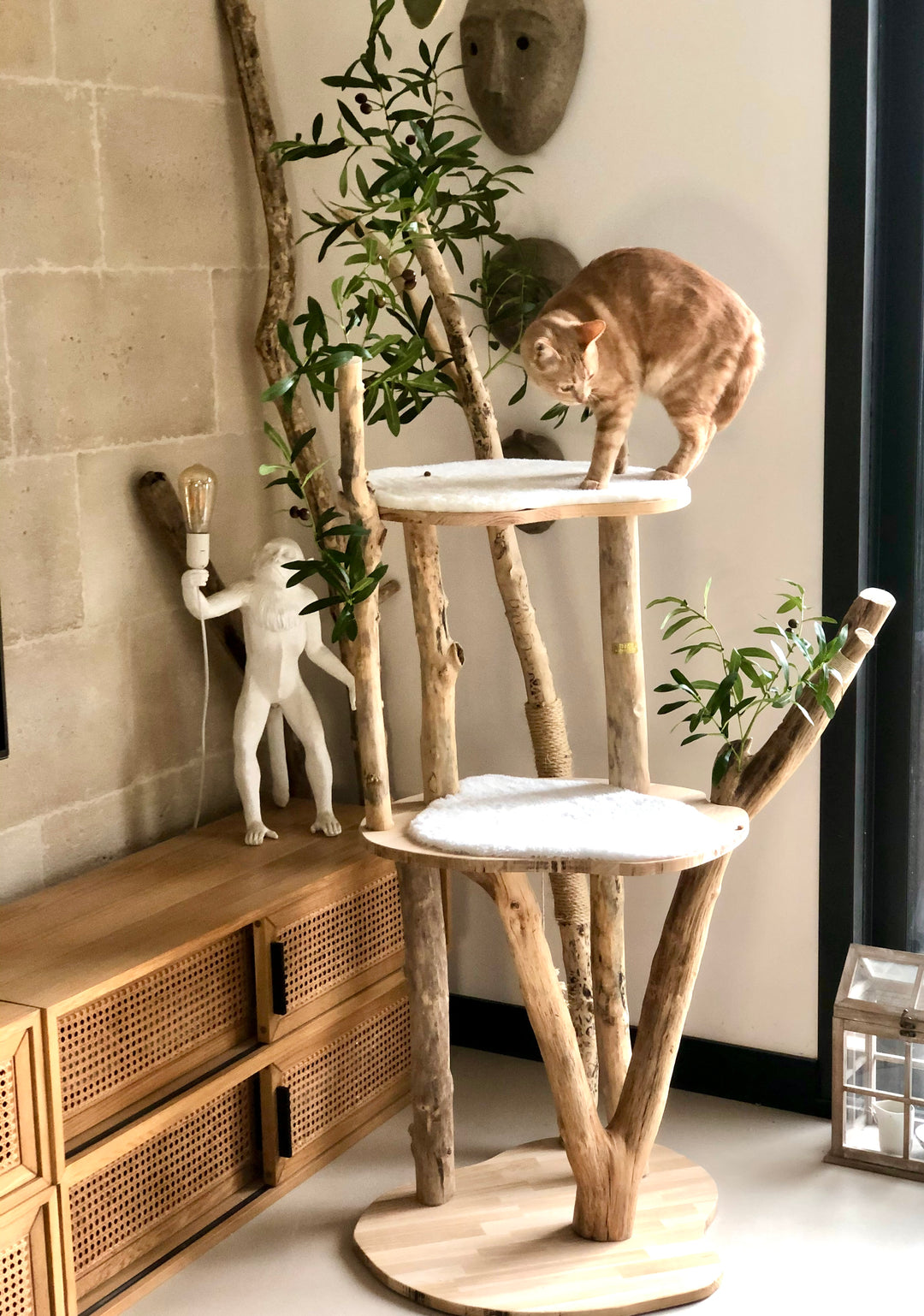 🌳 Arbre à chat en bois flotté 180 cm - Pièce artisanale Unique