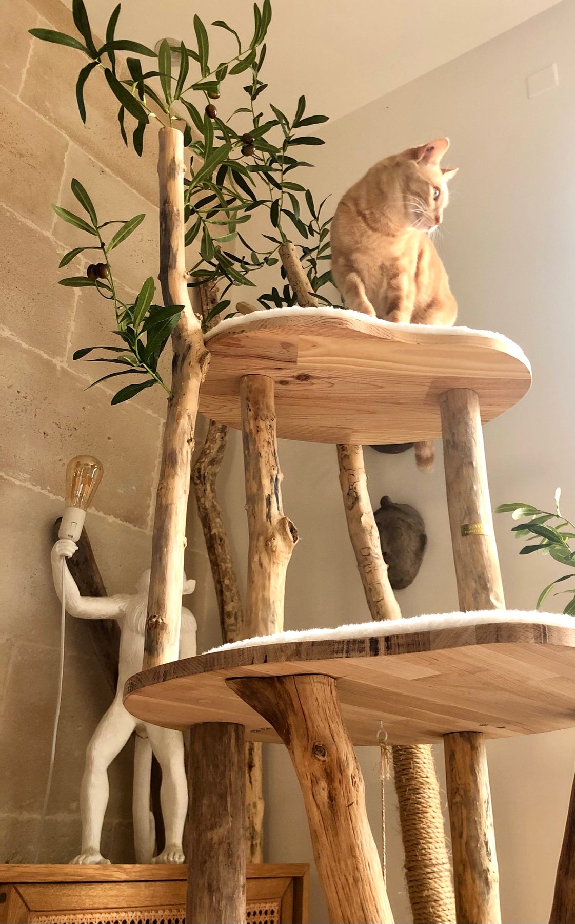🌳 Arbre à chat en bois flotté 180 cm - Pièce artisanale Unique – BABINE  Concept-Store