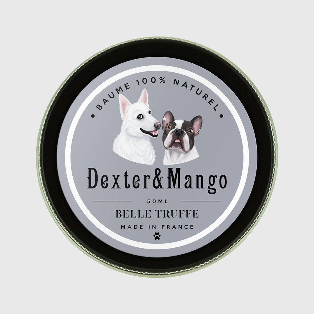 Baume Belle Truffe pour chiens 👃 Dexter & Mango