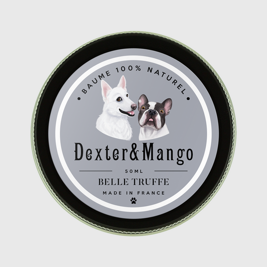 Baume Belle Truffe pour chiens 👃 Dexter & Mango
