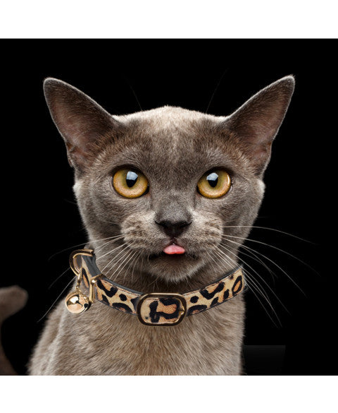 collier en cuir et anti-étranglement pour chats, style léopart