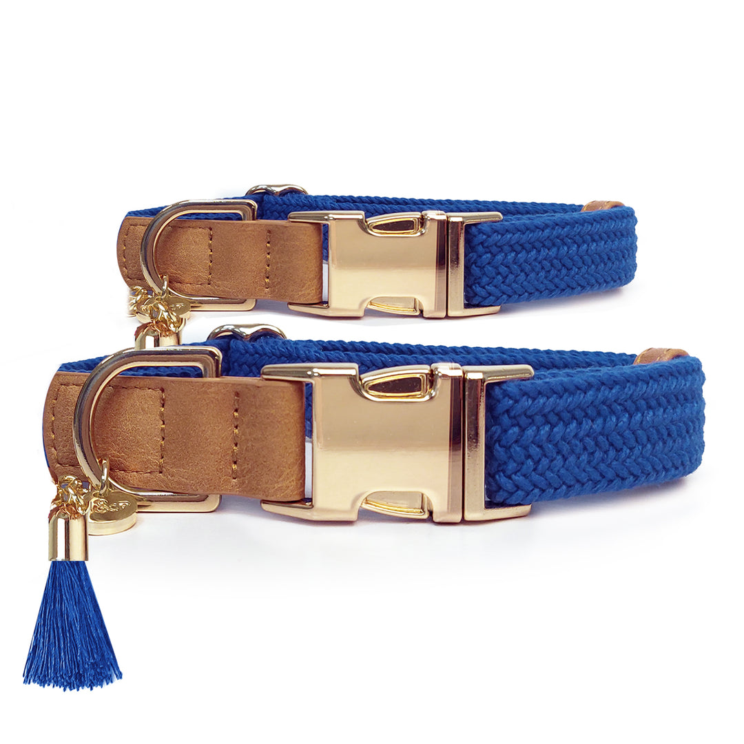 colliers pour chiens kaya bleu