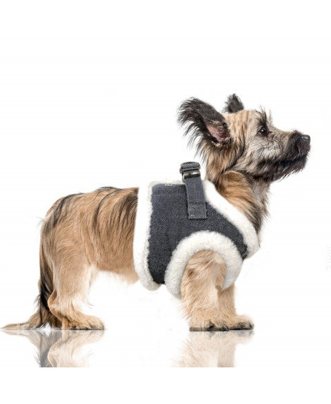 Harnais Tyler Jean 👖 pour Chiens - MILK&PEPPER