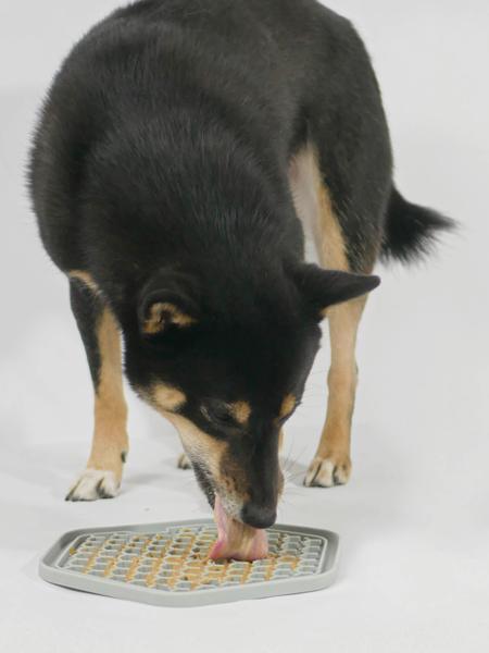 Tapis de léchage et d'occupation pour chien  et chat  - Inooko