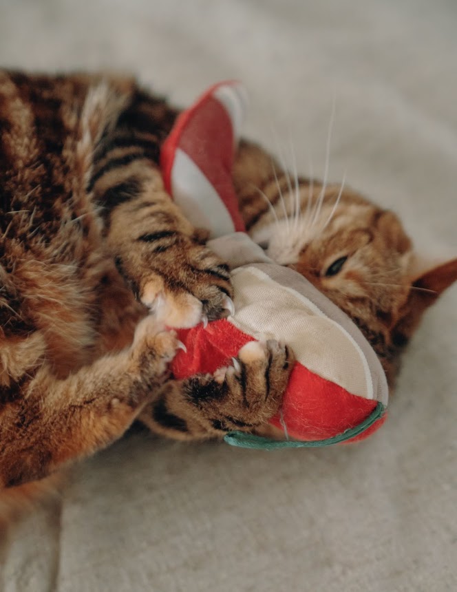 Jouet Piment d'Espelette pour Chats